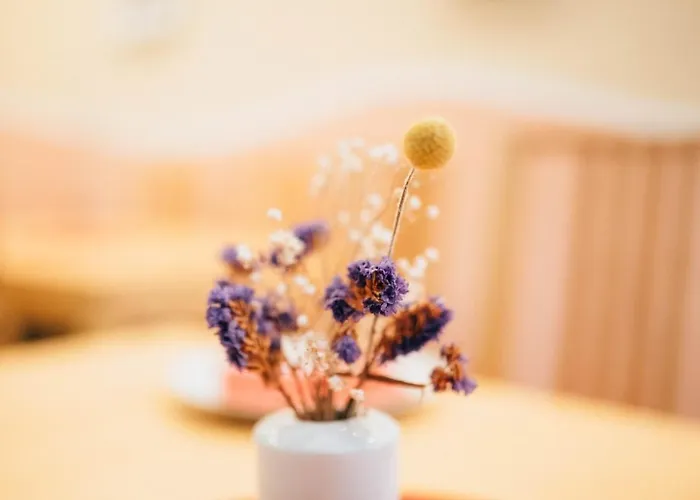 My Bed Hostel Δρέσδη