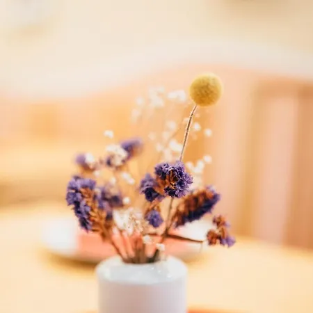 My Bed بيت شباب دريسدن